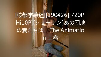 [桜都字幕組][190426][720P Hi10P][ショーテン]あの団地の妻たちは… The Animation 上巻