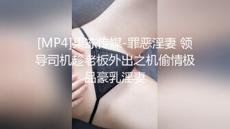 [MP4]果冻传媒-罪恶淫妻 领导司机趁老板外出之机偷情极品豪乳淫妻