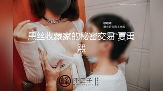 黑丝收藏家的秘密交易 夏禹熙