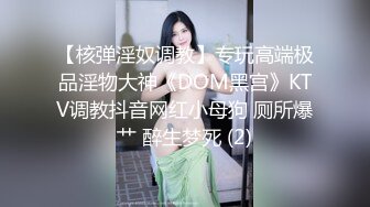 【核弹淫奴调教】专玩高端极品淫物大神《DOM黑宫》KTV调教抖音网红小母狗 厕所爆艹 醉生梦死 (2)