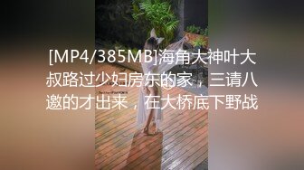 [MP4/385MB]海角大神叶大叔路过少妇房东的家，三请八邀的才出来，在大桥底下野战