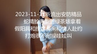 2023-11-11新流出安防精品❤️蛇精脸典型的绿茶婊拿着假阳具和按摩棒来和情人赴约打炮很不耐操哇哇叫