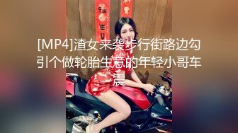 [MP4]渣女来袭步行街路边勾引个做轮胎生意的年轻小哥车震