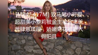 [MP4/ 417M] 双马尾小可爱超甜美小萝莉被金主被金主爸爸肆意蹂躏，娇嫩菊花被塞入假阳具