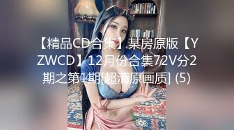 【精品CD合集】某房原版【YZWCD】12月份合集72V分2期之第1期[超清原画质] (5)