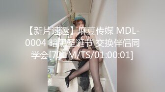 【新片速遞】麻豆传媒 MDL-0004 暗黑圣诞节 交换伴侣同学会[721M/TS/01:00:01]