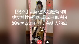 【嫣然】高颜值大奶翘臀S曲线女神性爱自拍，雪白肌肤粉嫩鲍鱼双洞开发，有钱人的母狗 (1)