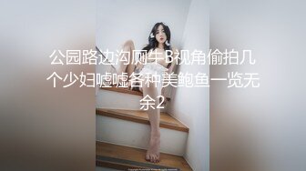 公园路边沟厕牛B视角偷拍几个少妇嘘嘘各种美鲍鱼一览无余2