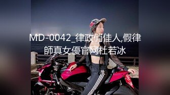 MD-0042_律政俏佳人,假律師真女優官网杜若冰