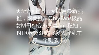 ★☆全网推荐☆★11月最新强推，网美推车OnlyFans极品女M母狗变态人妻ann私拍，NTR老公3P双飞多人淫乱主打一个刺激 (3)