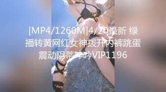 [MP4/1260M]4/20最新 绿播转黄网红女神拨开内裤跳蛋震动阴蒂呻吟VIP1196