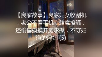 【良家故事】良家妇女收割机，老公不看手机，肆意撩骚，还偷偷摸摸开房求操，不守妇道的淫妇 (5)