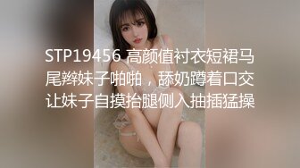 STP19456 高颜值衬衣短裙马尾辫妹子啪啪，舔奶蹲着口交让妹子自摸抬腿侧入抽插猛操