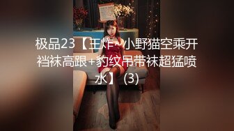 极品23【王炸~小野猫空乘开裆袜高跟+豹纹吊带袜超猛喷水】 (3)