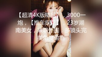 【超清4K版精品】，3000一炮，【推车探花】，23岁湖南美女，兼职外围，多镜头完美角度偷拍