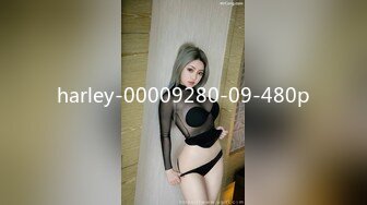 harley-00009280-09-480p