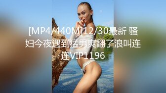 [MP4/440M]12/30最新 骚妇今夜遇到猛男爽翻了浪叫连连VIP1196