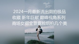 2024一月最新流出厕拍极品收藏 新年巨献 巅峰视角系列 商场女厕全景露脸后拍几个美女