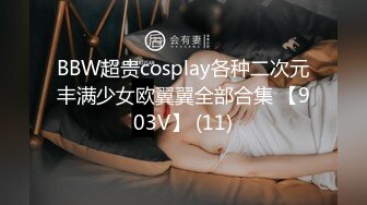 BBW超贵cosplay各种二次元丰满少女欧翼翼全部合集 【903V】 (11)